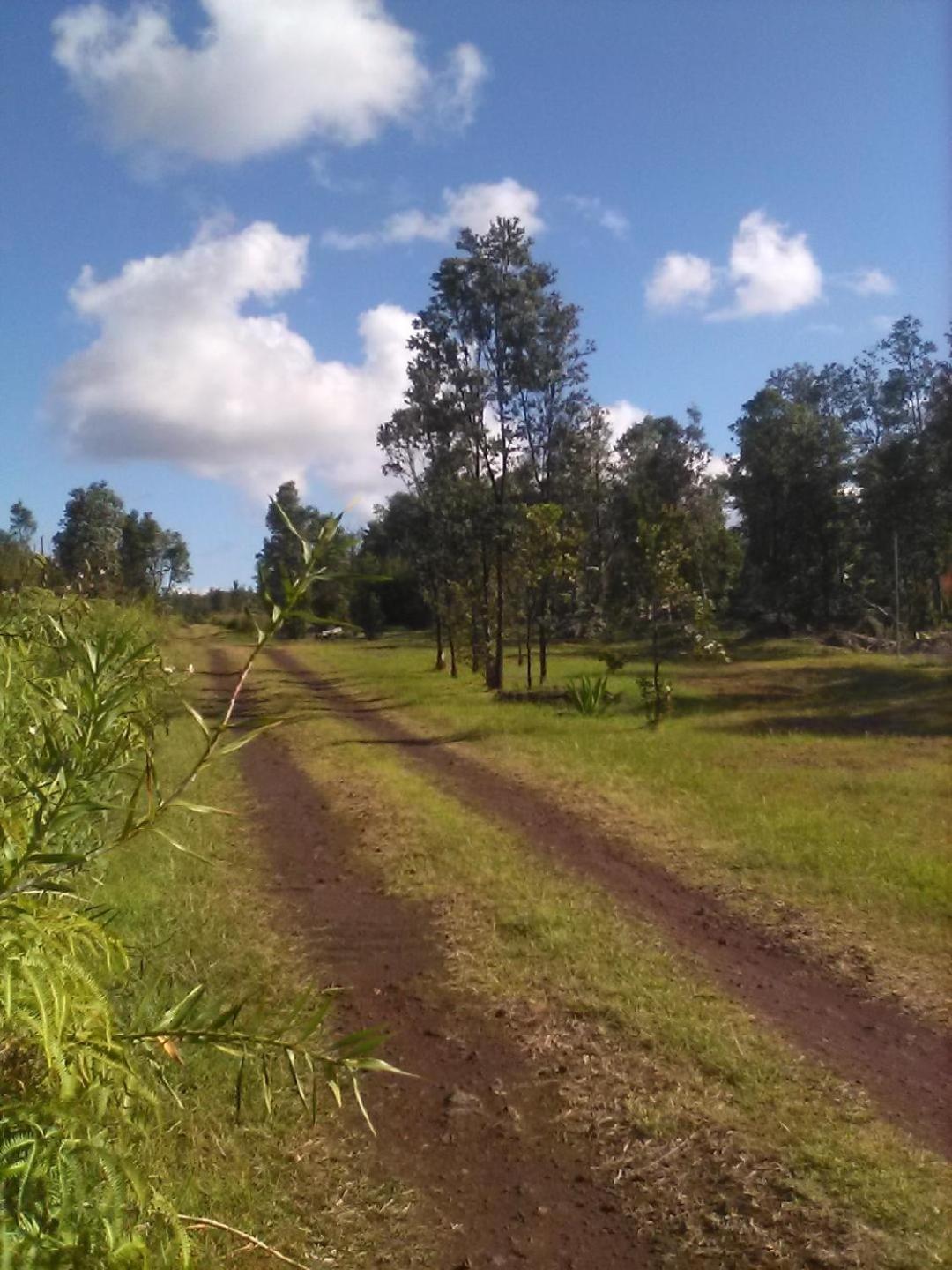 Simply Convenient Tropical Country Studio Mountain View Экстерьер фото